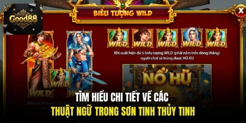 Tìm hiểu chi tiết về các thuật ngữ trong Sơn Tinh Thủy Tinh