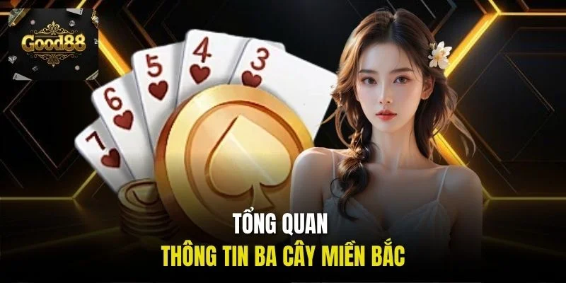 Tổng quan thông tin Ba cây miền Bắc